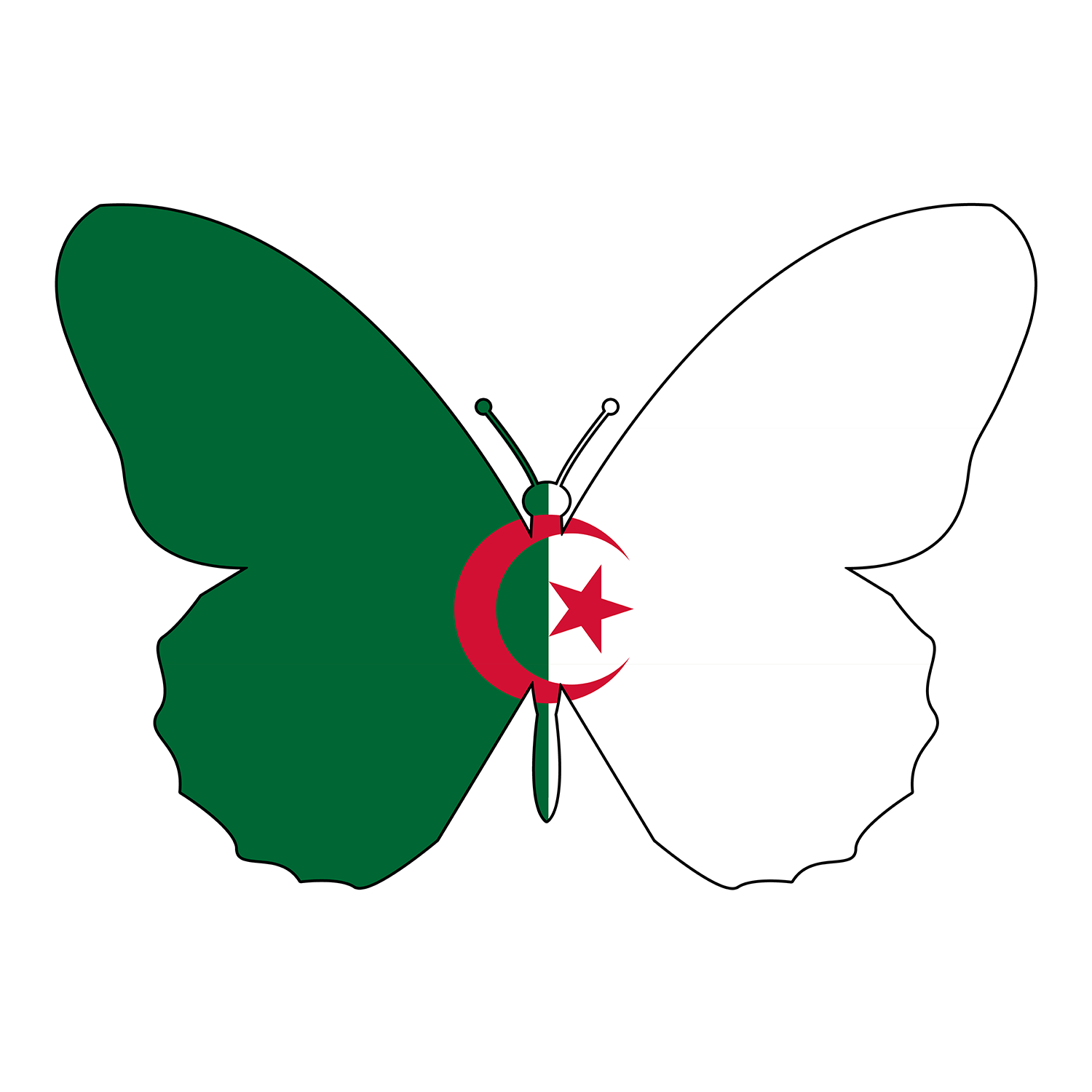 Algerian Butterfly Flag