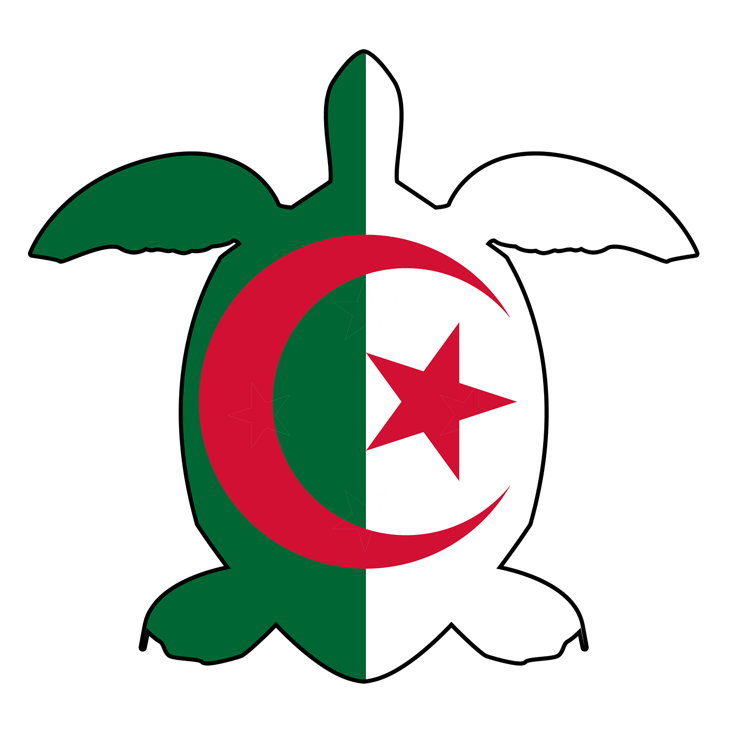 Algerian Sea Turtle Flag