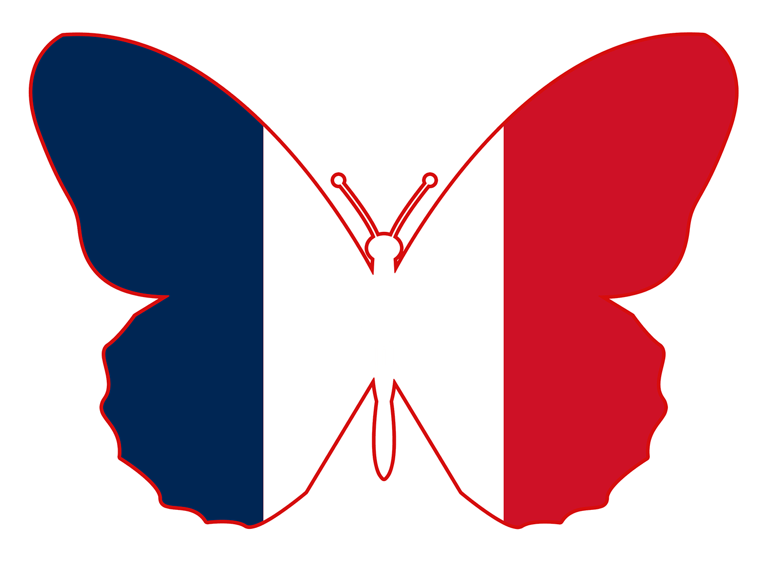French flag shaped like a butterfly