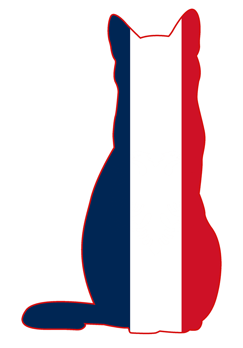 French flag shaped like a cat