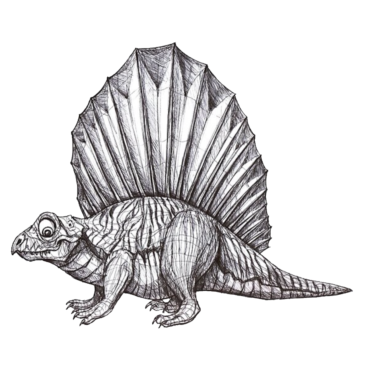 Dimetrodon Sketch
