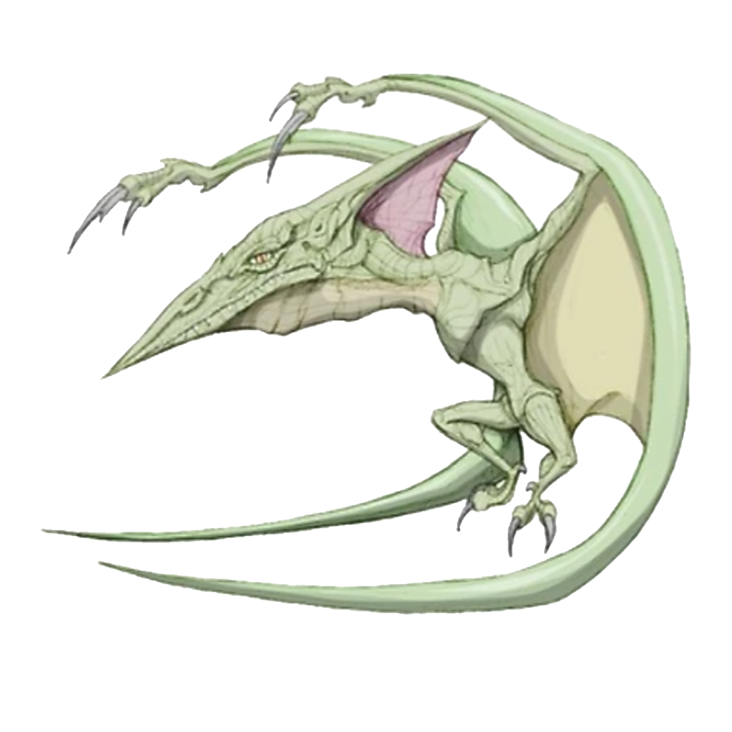 Pterodactyl illustration