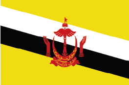 Flag of Brunei image