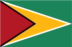 Flag of Guyana