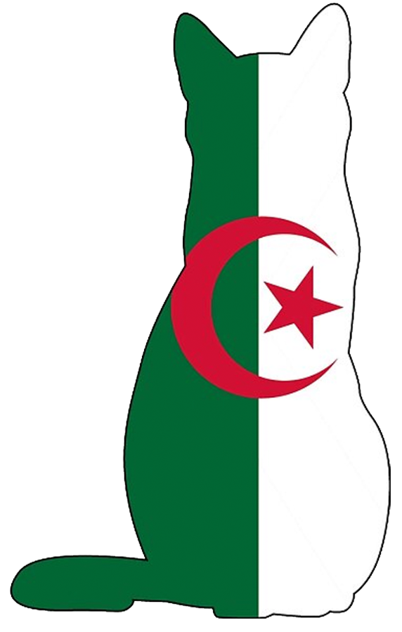 Algerian Flag shaped like a cat