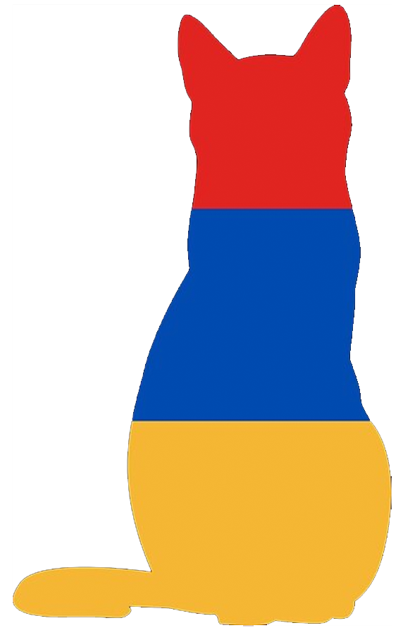 Armenian Flag shaped like a cat