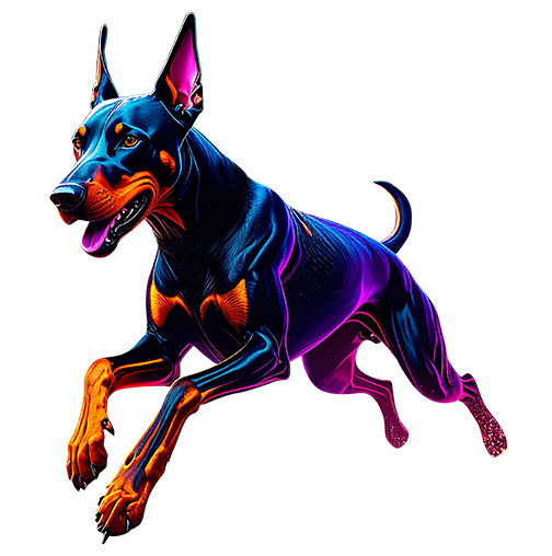 Dobermann running