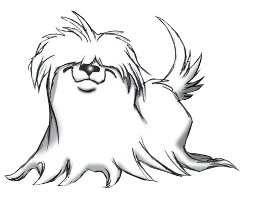 Hairy Maltese dog