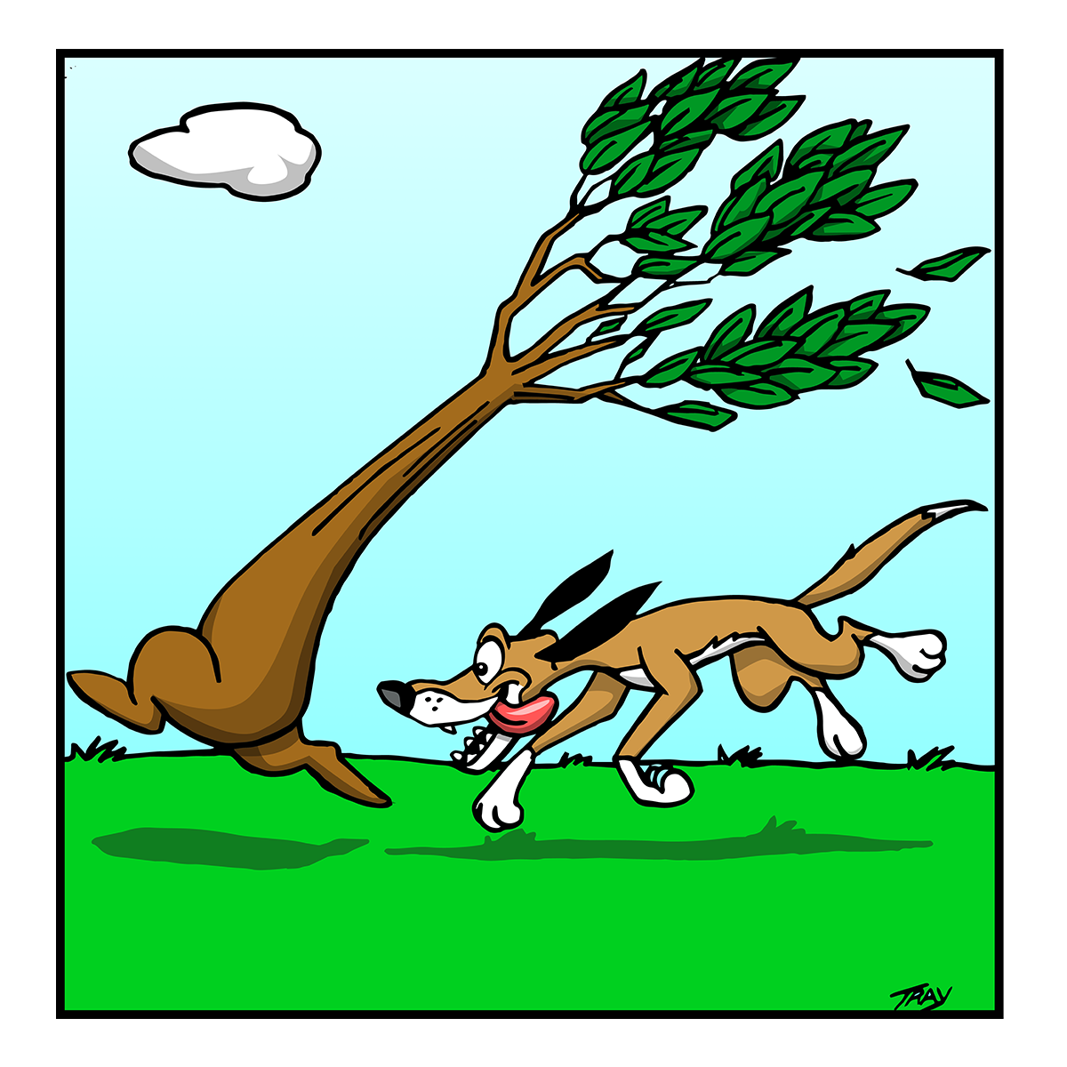 dog chasing a tree who doesn't want to be peed on