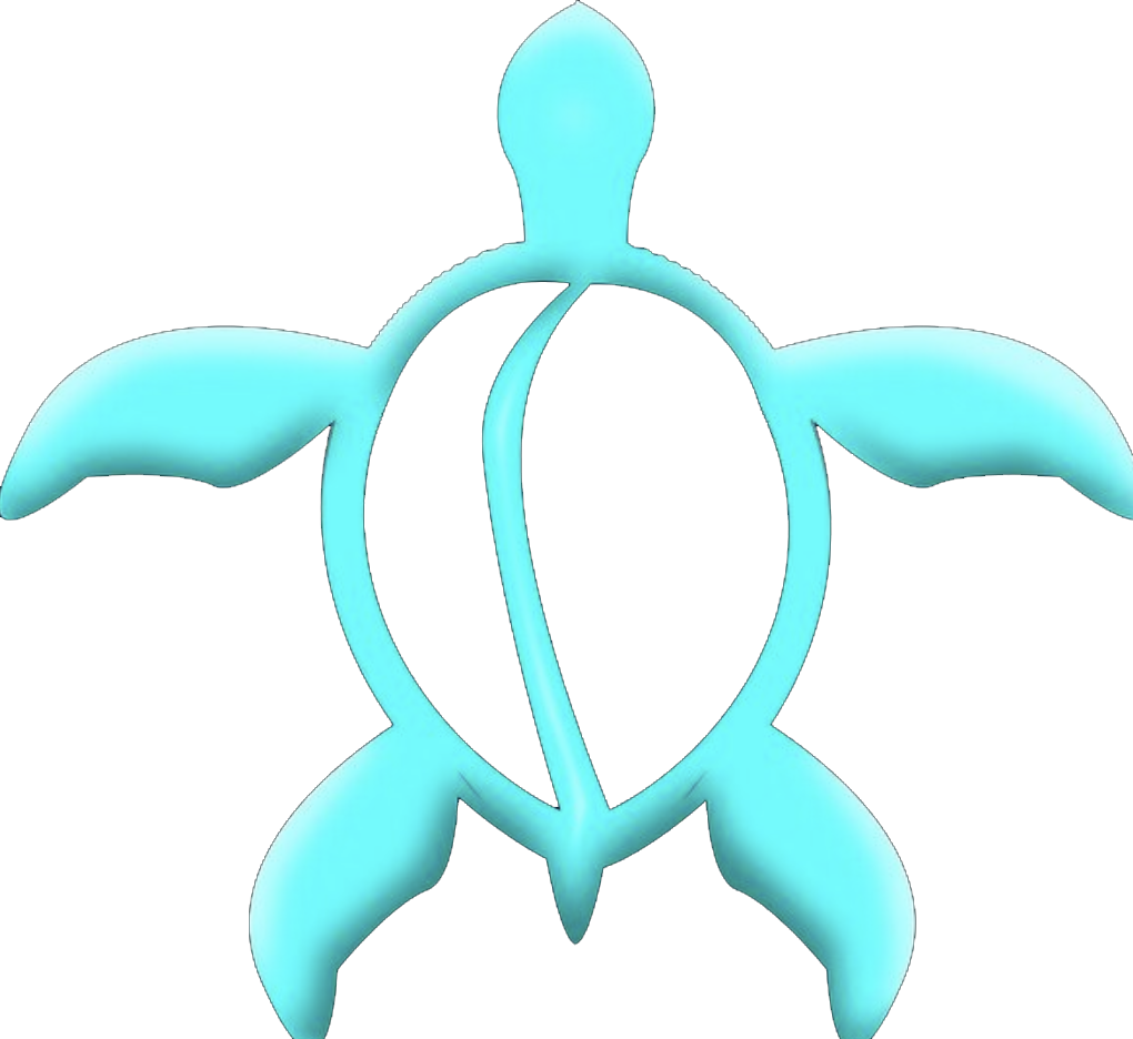 Turquoise Hawaiian Turtle