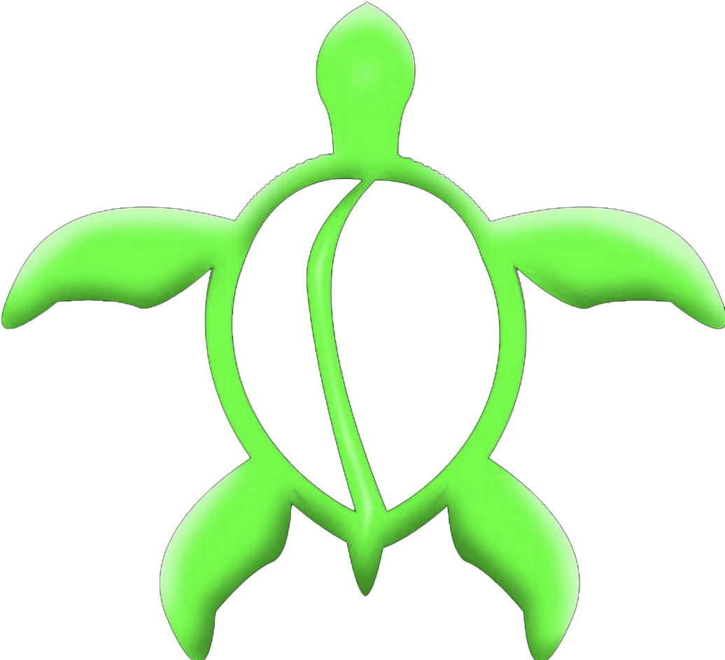 Green Hawaiian Turtle